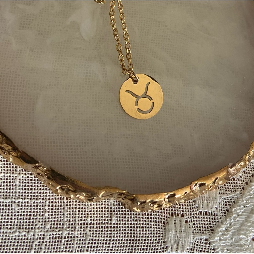 TAURUS Coin Necklace | Dainty‎ GOLD Zodiac Pendant Chain pendant